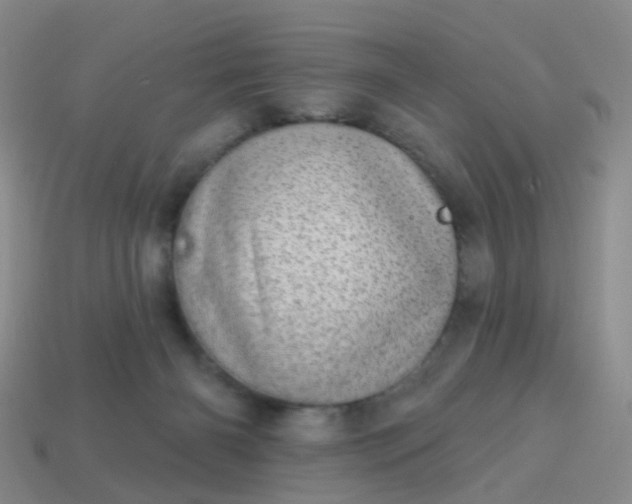 X0000113860126200910081714
