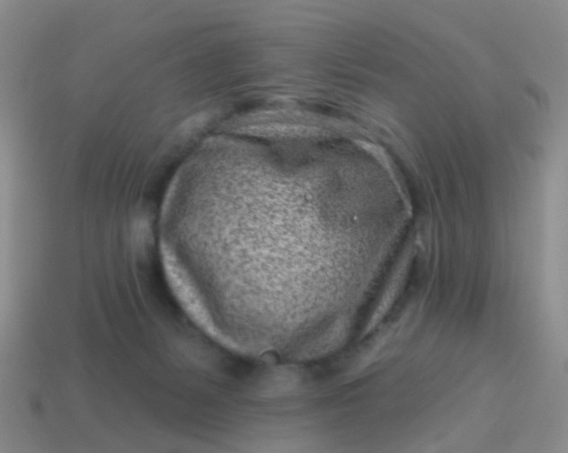 X0000113860127200910081714