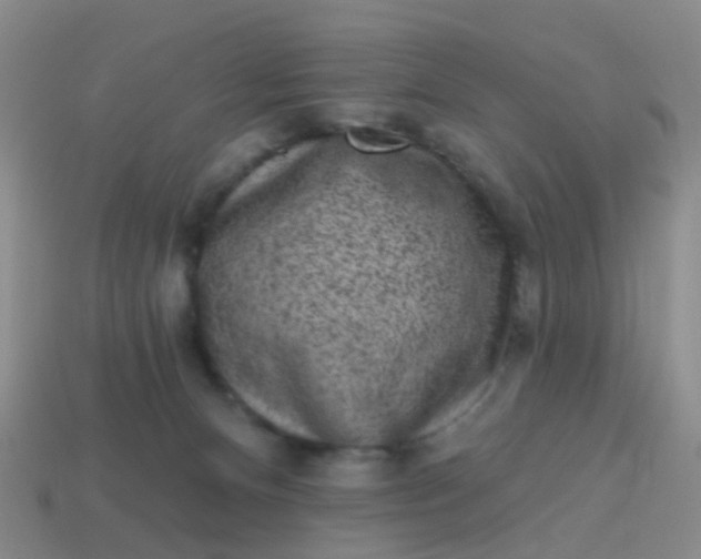 X0000113860128200910081714