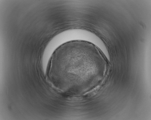 X0000113860129200910081714