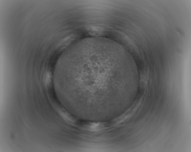 X0000113860130200910081714