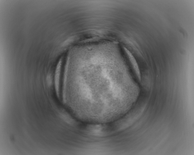 X0000113860131200910081714