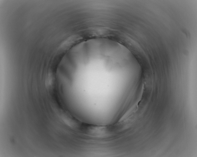 X0000113860132200910081714