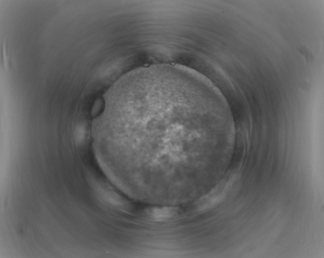X0000113860134200910081714
