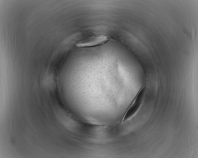 X0000113860136200910081714