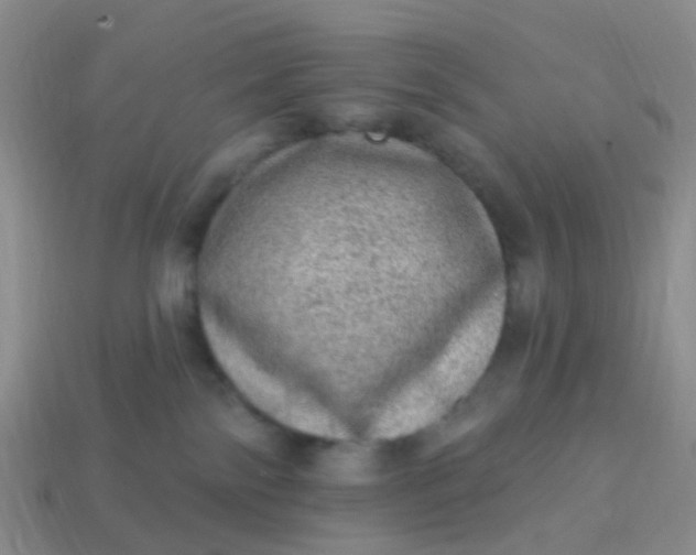 X0000113860138200910081714