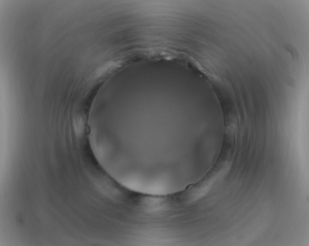 X0000113860139200910081714