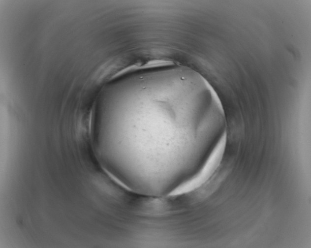 X0000113860140200910081714