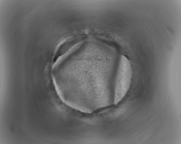X0000113860144200910081714