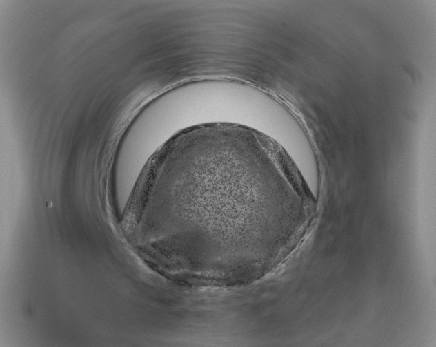 X0000113860145200910081713