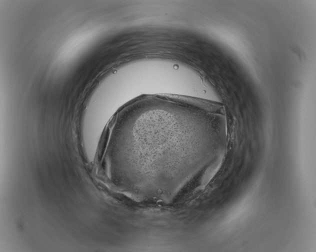 X0000113860146200910081713