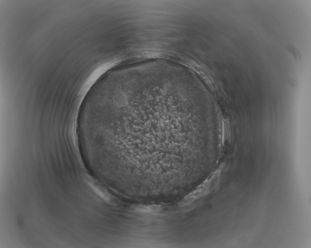 X0000113860147200910081713