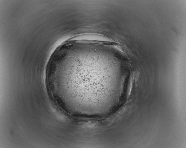 X0000113860148200910081713