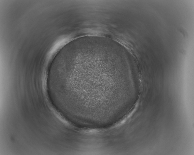 X0000113860149200910081713