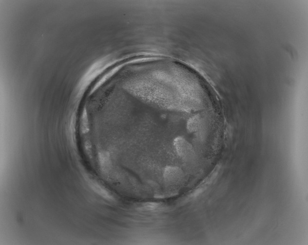 X0000113860151200910081713