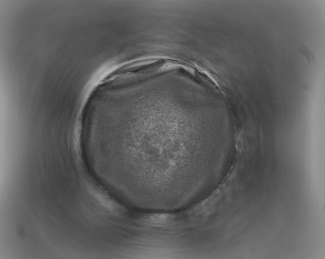 X0000113860152200910081713
