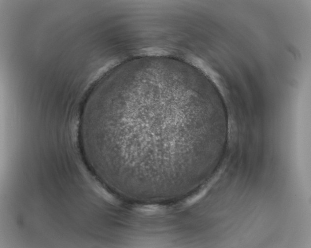 X0000113860153200910081713
