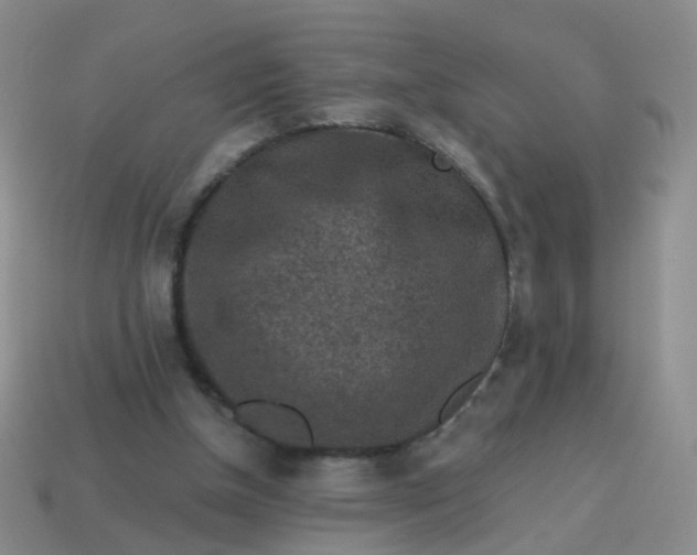 X0000113860154200910081713