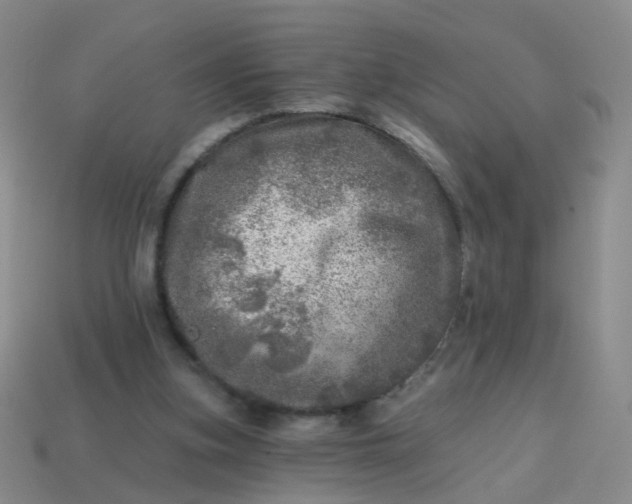 X0000113860155200910081713