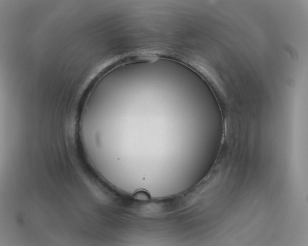 X0000113860156200910081713