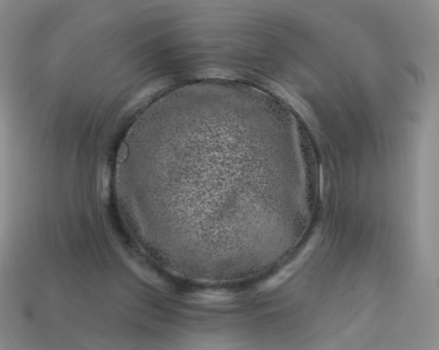 X0000113860157200910081713
