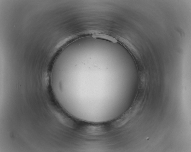X0000113860160200910081713