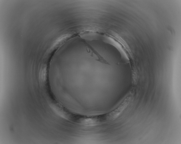 X0000113860163200910081713