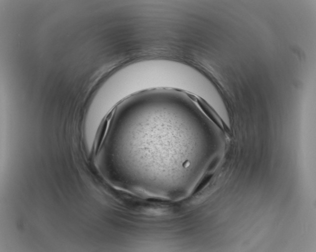 X0000113860164200910081713