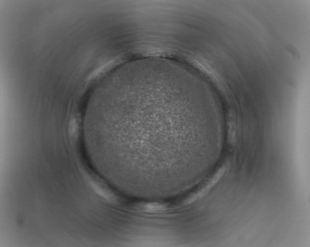 X0000113860165200910081713