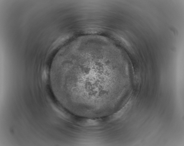 X0000113860166200910081713