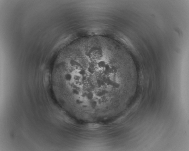 X0000113860169200910081713