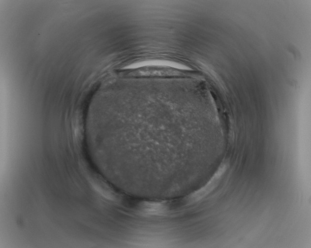 X0000113860170200910081713