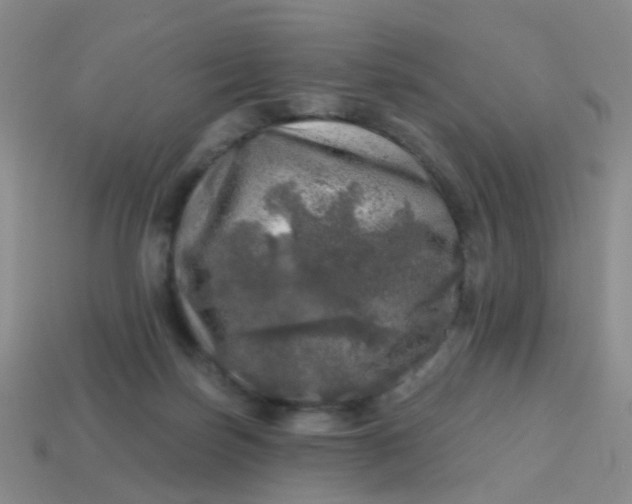 X0000113860171200910081713