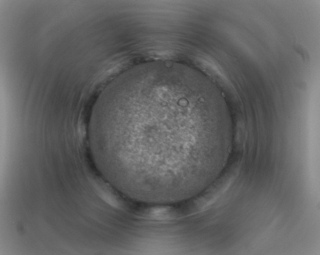 X0000113860173200910081713