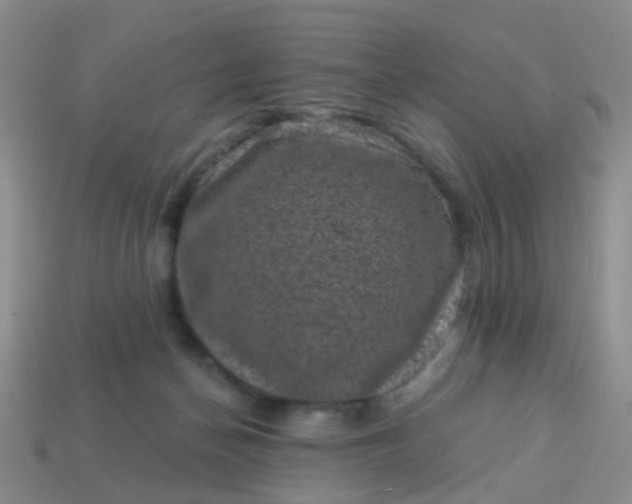 X0000113860174200910081713