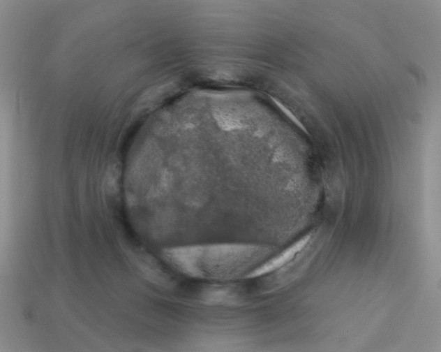 X0000113860175200910081713