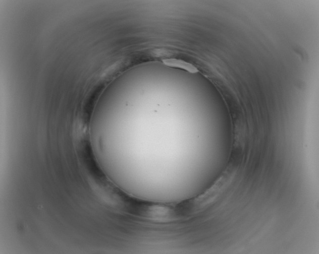 X0000113860176200910081713