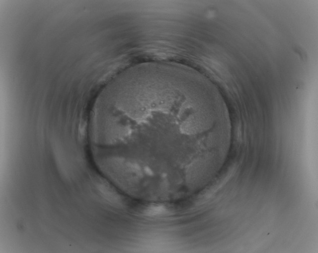 X0000113860177200910081713