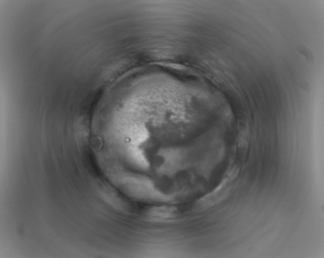 X0000113860179200910081713
