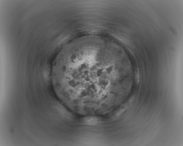 X0000113860181200910081713