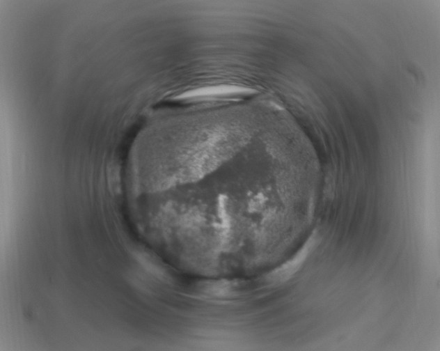 X0000113860182200910081713