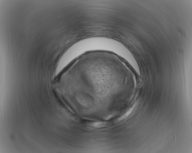 X0000113860184200910081714
