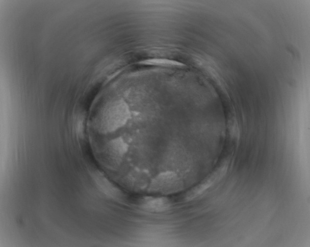 X0000113860185200910081714