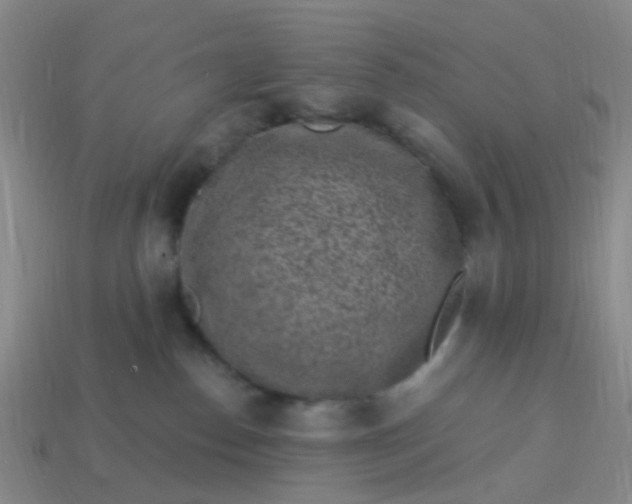 X0000113860186200910081714