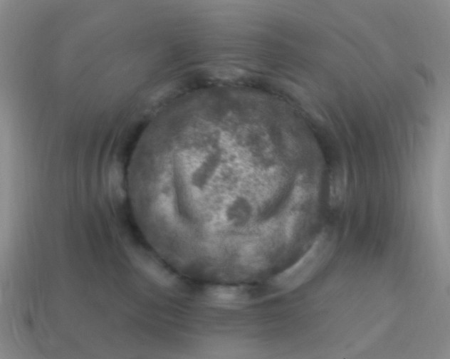 X0000113860187200910081714