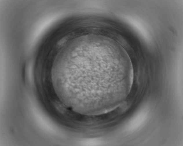 X0000113860189200910081714