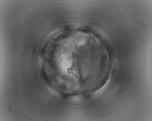 X0000113860191200910081714