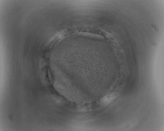 X0000113860192200910081714