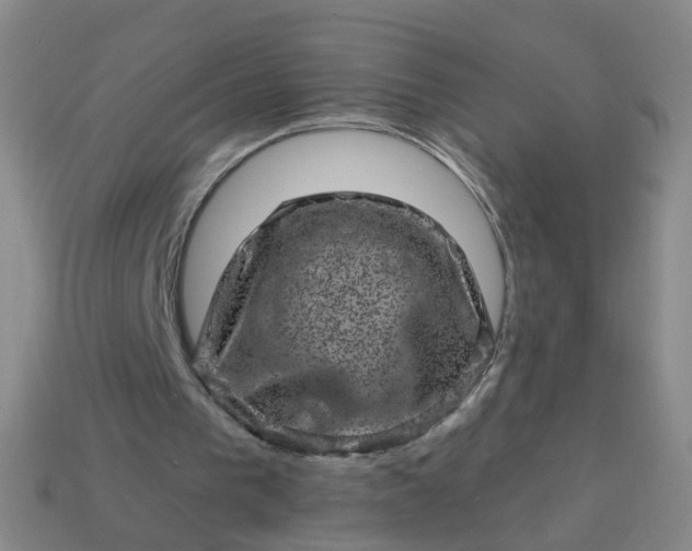 X0000113860193200910081713