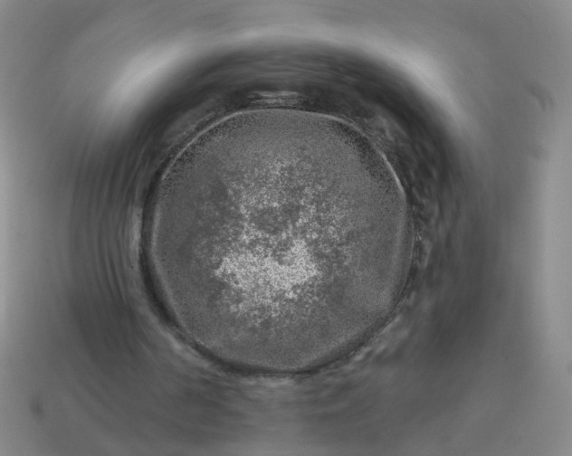 X0000113860194200910081713